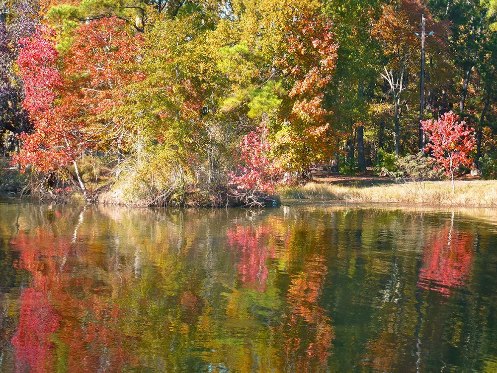 Autumn colors reflected in the calm water at Marina Village