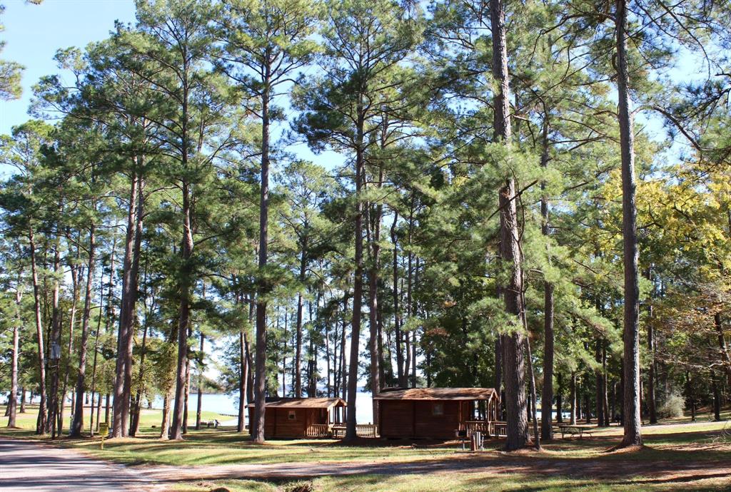 Marina Village cabins beneath tall pine trees near Lake Livingston