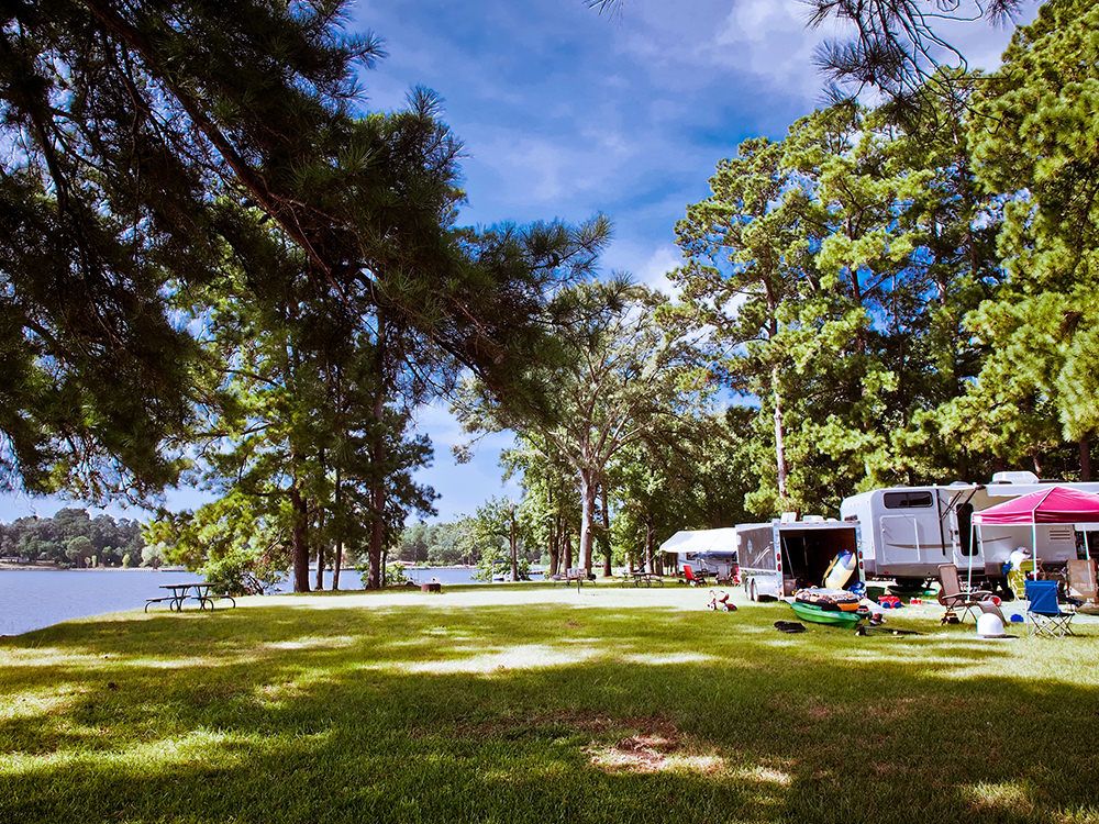 Spacious shaded RV campsites along the waterfront